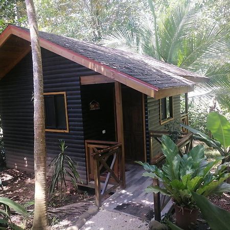 Casa El Colibri Bed & Breakfast Parrita Oda fotoğraf