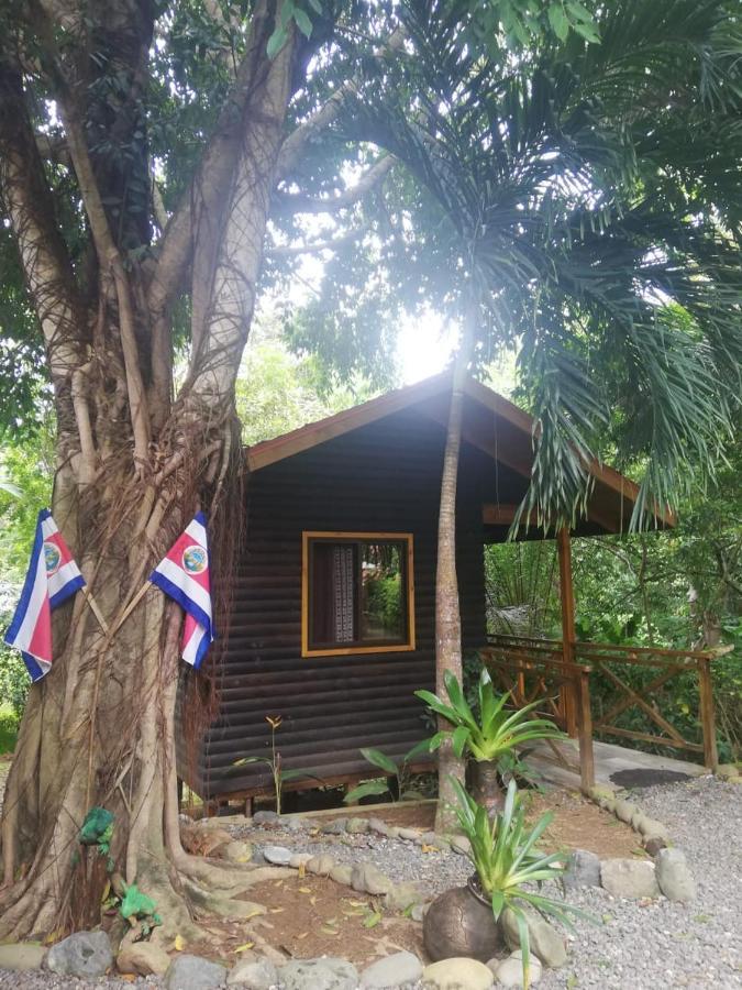 Casa El Colibri Bed & Breakfast Parrita Dış mekan fotoğraf