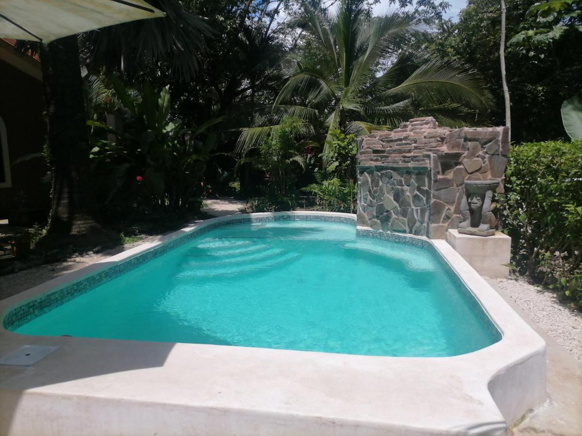 Casa El Colibri Bed & Breakfast Parrita Dış mekan fotoğraf
