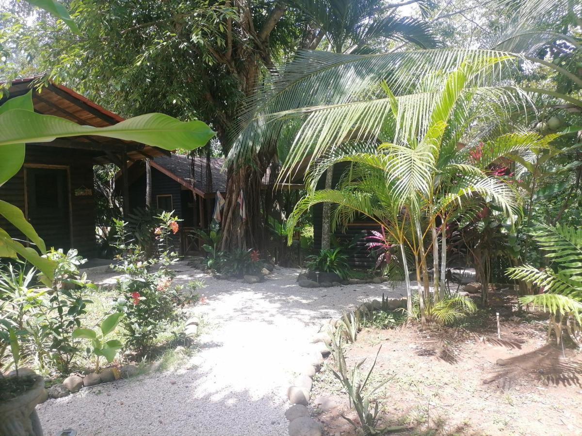 Casa El Colibri Bed & Breakfast Parrita Dış mekan fotoğraf