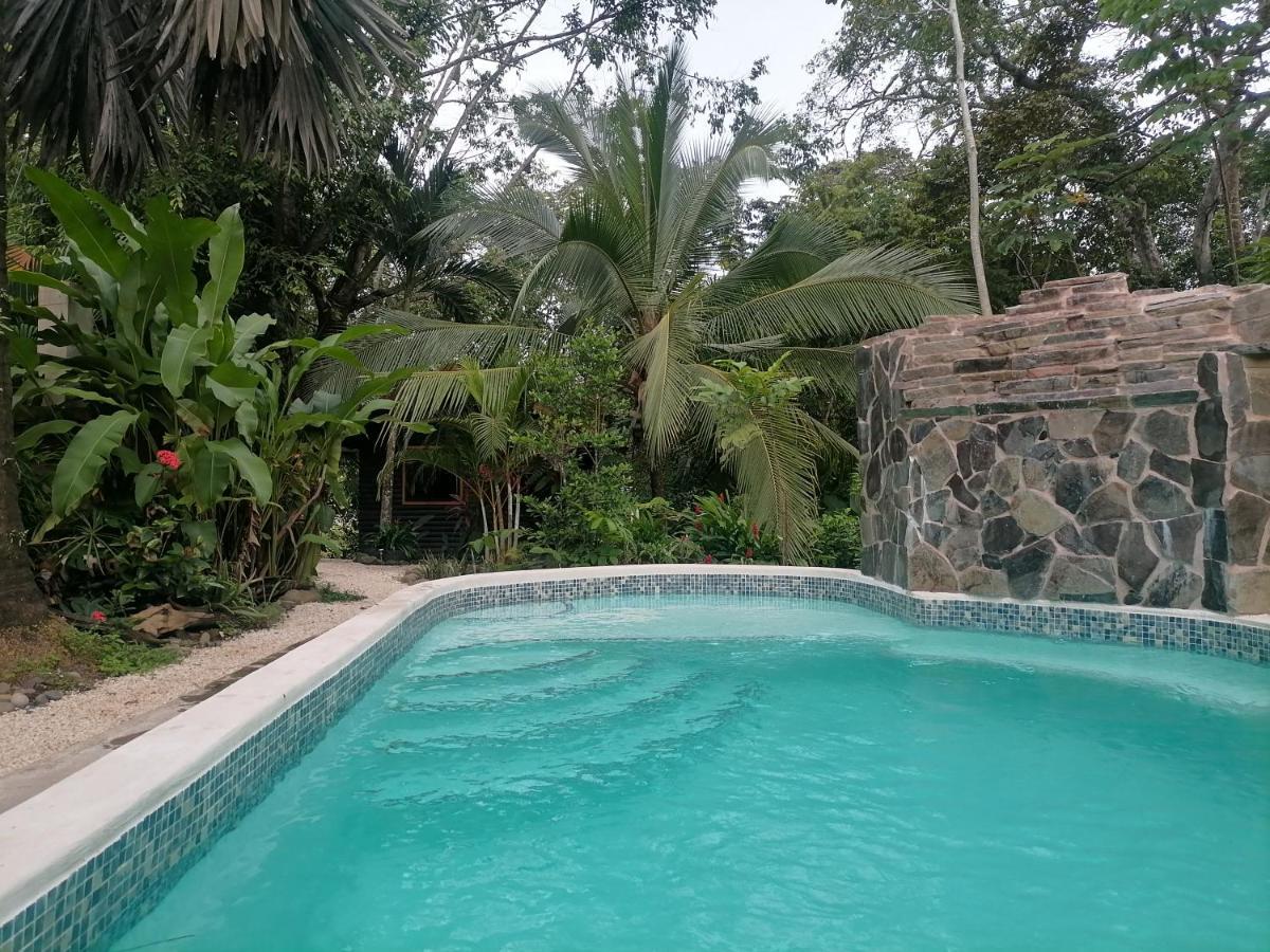 Casa El Colibri Bed & Breakfast Parrita Dış mekan fotoğraf