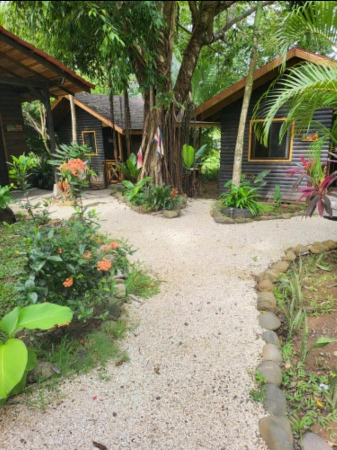 Casa El Colibri Bed & Breakfast Parrita Dış mekan fotoğraf