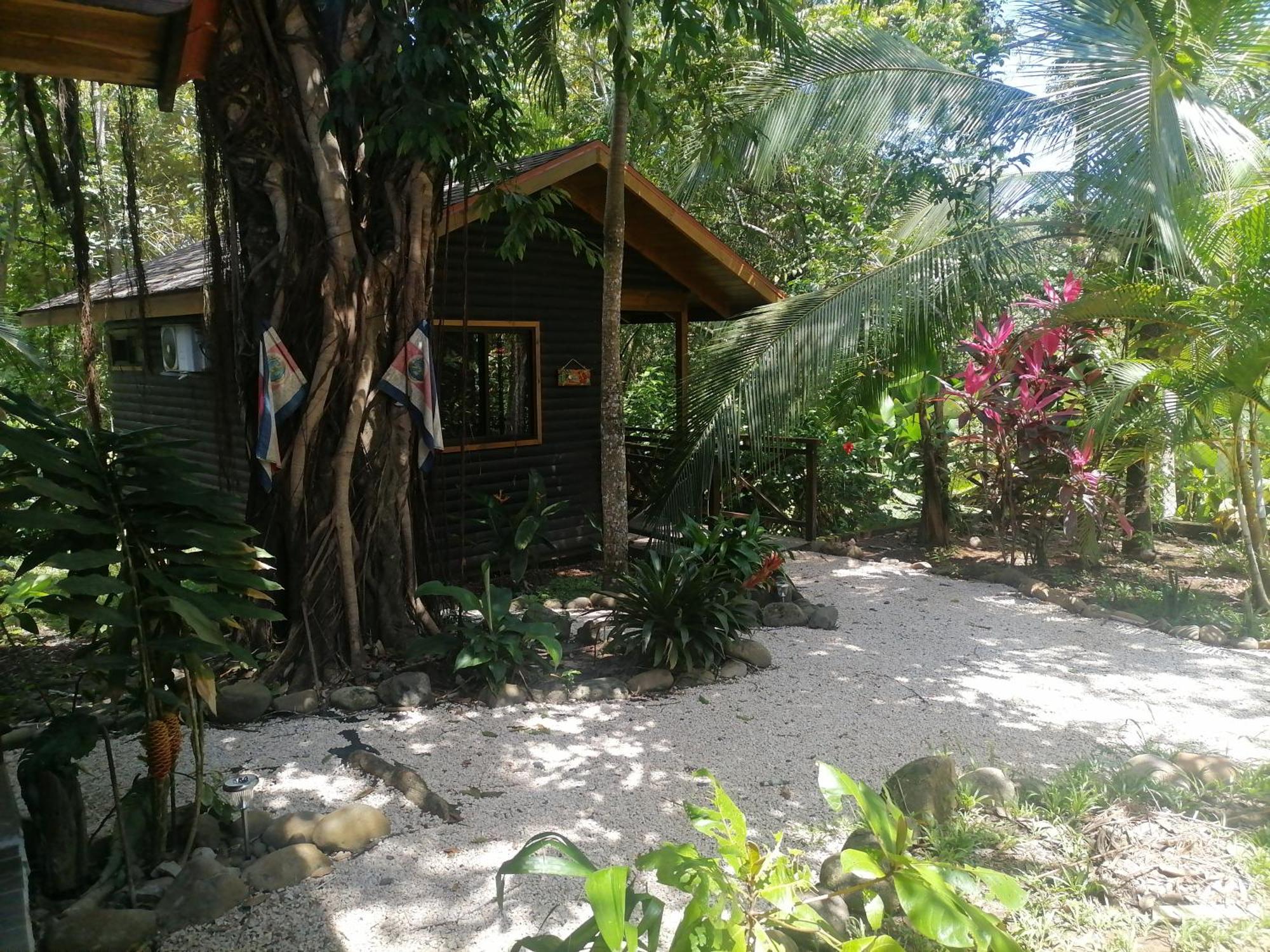 Casa El Colibri Bed & Breakfast Parrita Oda fotoğraf