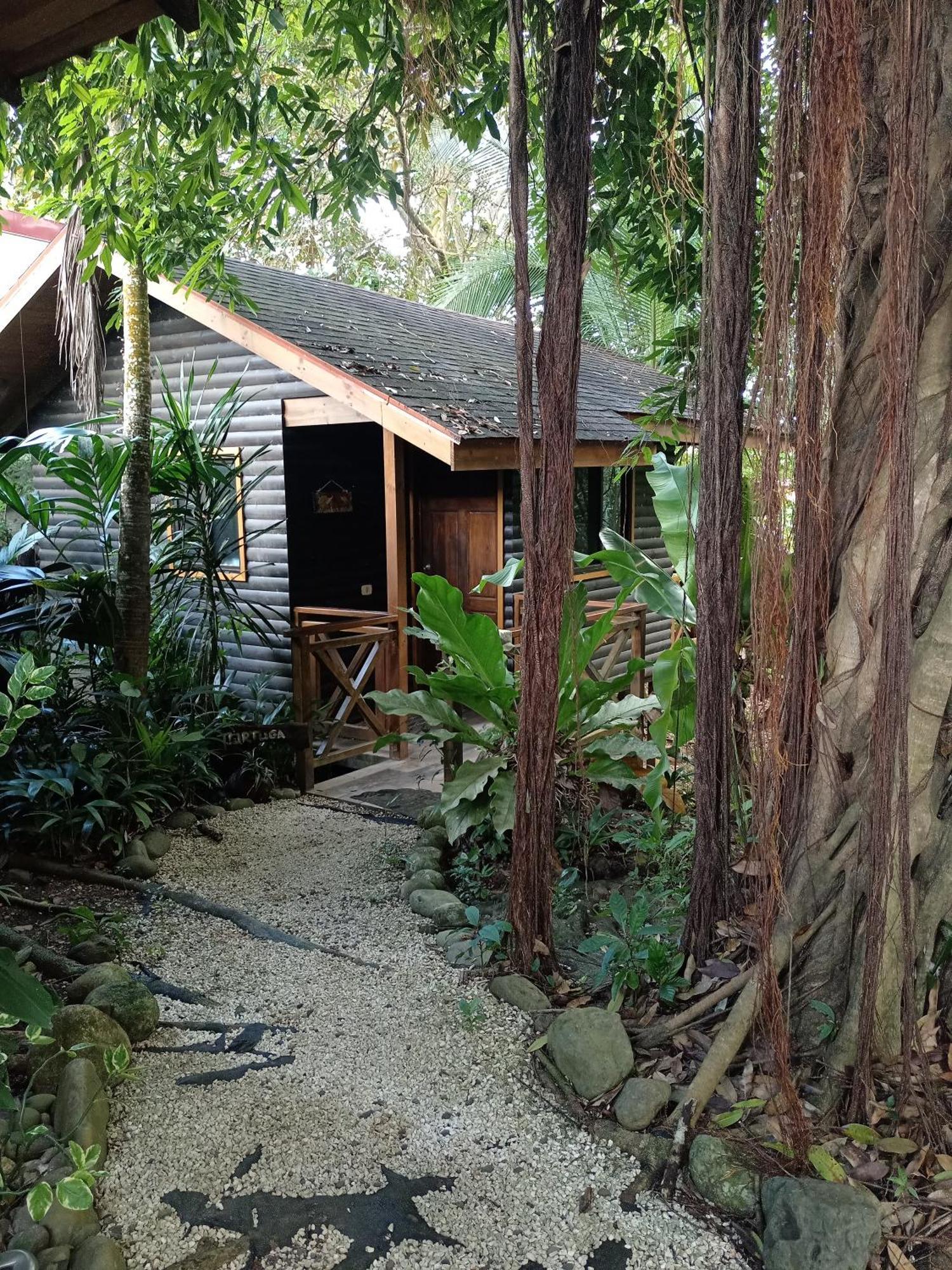 Casa El Colibri Bed & Breakfast Parrita Dış mekan fotoğraf